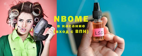 шишки Арсеньев