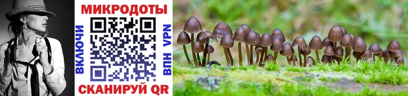 Галлюциногенные грибы Psilocybe  Юрюзань 